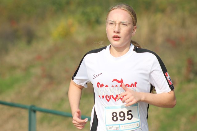 k-2024_crosscountry-land 410